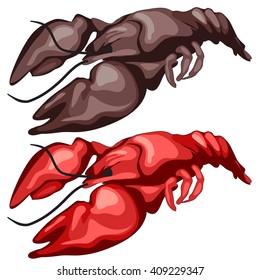 Two lobster. Vector illustration.