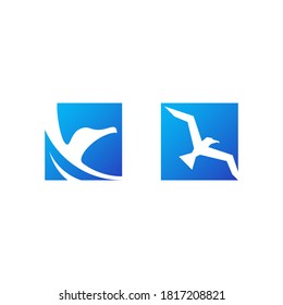 two logos of a seagull bird inside square shapes