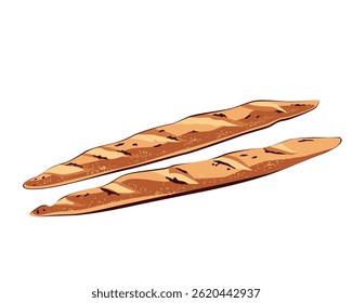 Two long crusty, and craft baguette set. Tasty bread isolated vector illustration.