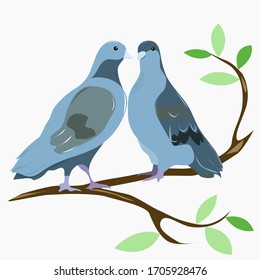 Two lovebirds on a branch with leaves in spring on a white background