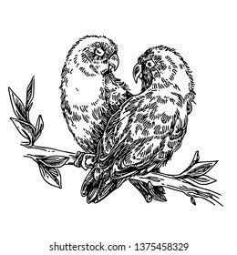 Featured image of post Pencil Drawing Images Of Love Birds : Download transparent bird png for free on pngkey.com.