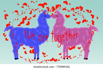 Two lovers, kissing llamas surrounded by hearts. Love is in the air. The inscription We are together, postcard, Valentine's day