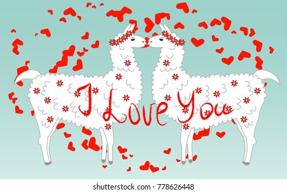 Two lovers, kissing llamas surrounded by hearts. Love is in the air. Inscription I love you, postcard, Valentine's day