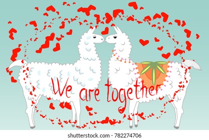 Two lovers, kissing llamas surrounded by hearts. Love is in the air. The inscription We are together, postcard, Valentine's day