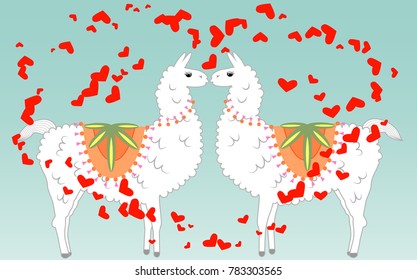 Two lovers kissing llamas surrounded by hearts. Love in the air, postcard to the day of Saint Valentine