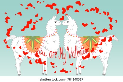Two lovers, kissing llamas surrounded by hearts. Love is in the air. Inscription You are my Valentine, postcard, Valentine's day