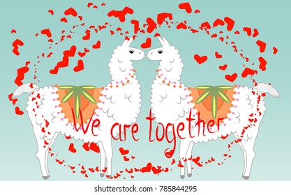 Two lovers, kissing llamas surrounded by hearts. Love is in the air. The inscription We are together, postcard, Valentine's day