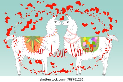 Two lovers, kissing llamas surrounded by hearts. Love is in the air. Inscription Our love warms, postcard, Valentine's Day