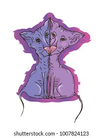 two loving cats
