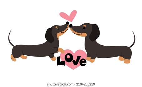 Two loving dachshund dogs hold a heart on a white background. Vector cartoon illustration. Valentine's day card