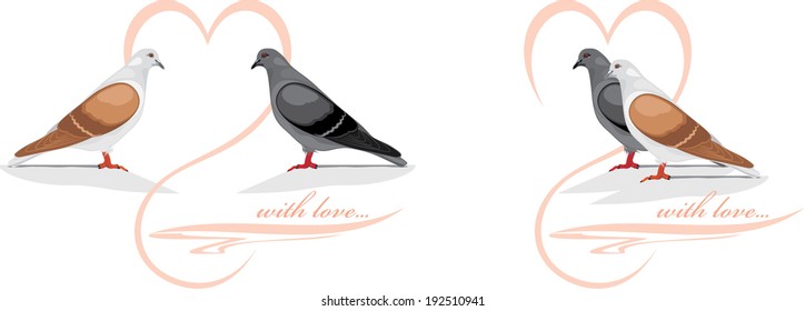 Two loving doves. Vector