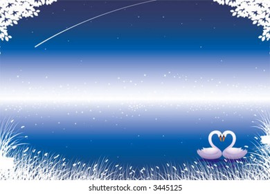 Two loving swans on lake