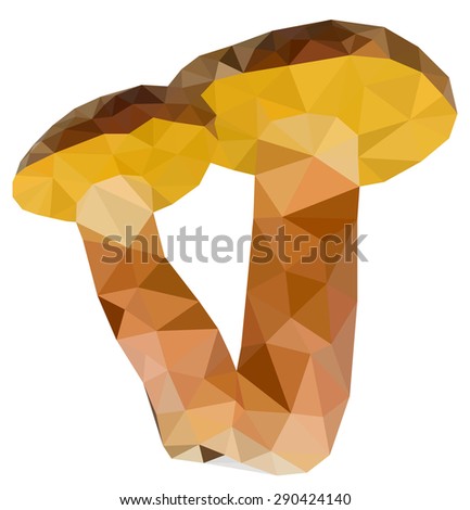 Two low poly mushroom on white background