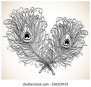 Two luxurious peacock feather in graphics silhouette