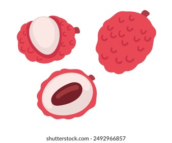 Two lychees, one whole and one cut open, showcasing the juicy, pearl-like flesh and single seed. Tropical lichee nut with ripe flesh and red peel. Vector illustration isolated on white background