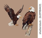 Two majestic eagles in flight