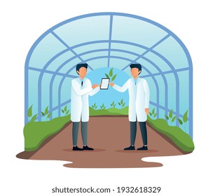 Two male scientists examining plant sample in modern glass greenhouse. Men are researching science agriculture farming together. New plants research with tablet. Flat cartoon vector illustration