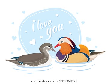 Two Mandarin Ducks in Love. Symbol of Love and Marriage. Card for Valentine Day. Asian Birds. Male and Female. Vector Illustration