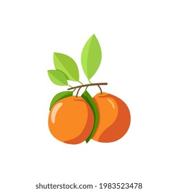 two mandarins on the branch. concept of antioxidant diet, refreshing drink, citrus tree with leaves. kitchen design decoration, food packaging, food illustration with shadows on white background