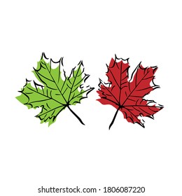 Two maple leaves, green and red, vector graphics