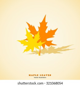 Two Maple Leaves. Vector Illustration