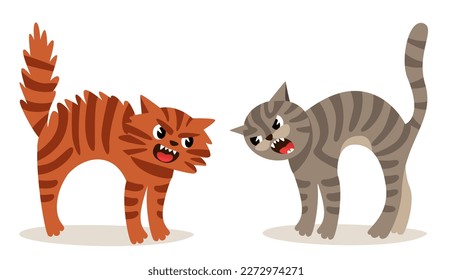 Two March cats sort things out, scream, threaten, scare each other