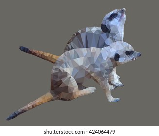 Two meerkats against a dark background in triangulation technique. 