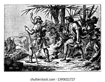 Two men carrying a big bunch of grapes and another man carrying basket of fruits on head and followed them. Moses stood in background with raised hand to these men, vintage line drawing or engraving