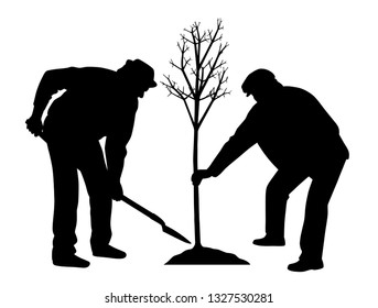 Two men planting a tree. In EPS vector file tree and worker on the right side are separated objects.