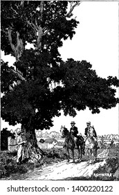 Two men riding on horses and another man standing under tree, vintage line drawing or engraving illustration