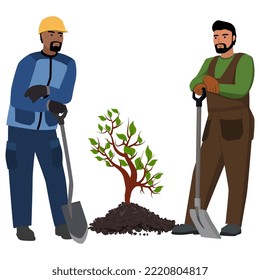 Two men in work clothes with shovels stand next to young seedling in heap of earth, isolated on white. Vector design element.