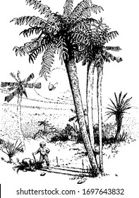 Two men working in farm and trees around them, vintage line drawing or engraving illustration
