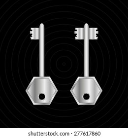 Two metal keys on a black background