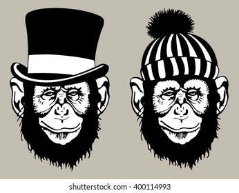 Two monkeys . in a cap and hat