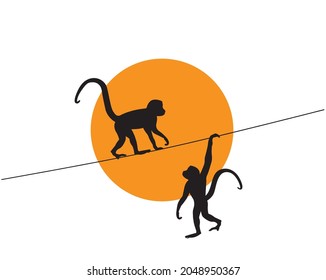 Two monkeys hanging on sunset, vector. Monkeys silhouettes hanging on a rope on sunset isolated on white background, illustration. Natural art design, artwork