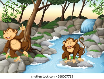 Two monkeys living by the waterfall illustration