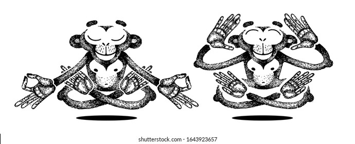 Two monkeys is meditating. Two monkeys levitates. Monkeys are sits in a lotus position. Cute animals practice yoga. Vector hand made illustration. Sketch for poster, print, t-shirt, tattoo.