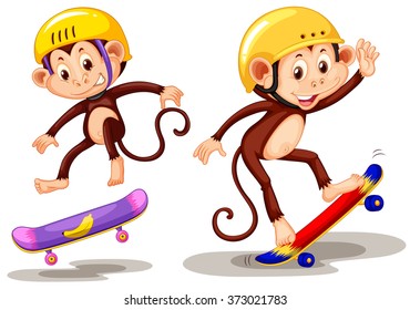 Two monkeys playing skateboard illustration