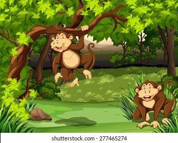 Two monkeys sitting in a jungle