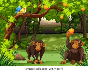 Two monkeys sitting under orange tree