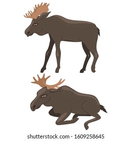 Two moose isolated on a white background. Vector graphics.