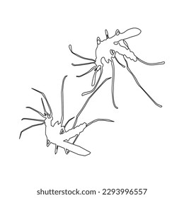 Selección superior del icono de contorno de mosquito dual, ilustración vectorial en estilo moderno, aislado en fondo blanco. Recursos gráficos editables para muchos fines.
