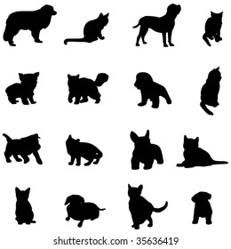 The two most popular pets - dogs and cats
