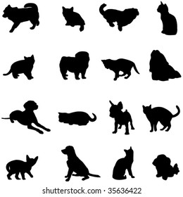 The two most popular pets - dogs and cats