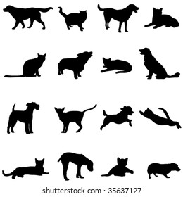 The two most popular pets - dogs and cats