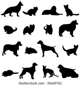 The two most popular pets - dogs and cats