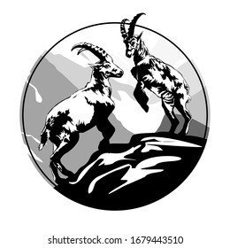 Two mountain goats in the background of wildlife fight. Tattoo, travel, adventure, wildlife symbol. Natural open spaces. Ecology.