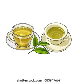Two mug and saucer sets - porcelain and glass, green tea leaf, sketch vector illustration isolated on white background. Two hand drawn mugs and saucers, tea sets and green tea leaf