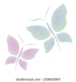 Two multi-colored butterfly fly on a white background. 