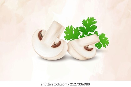 Two mushroom pieces vector illustration with coriander leaves